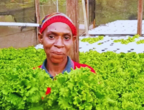 Groene kracht uit Merauke
