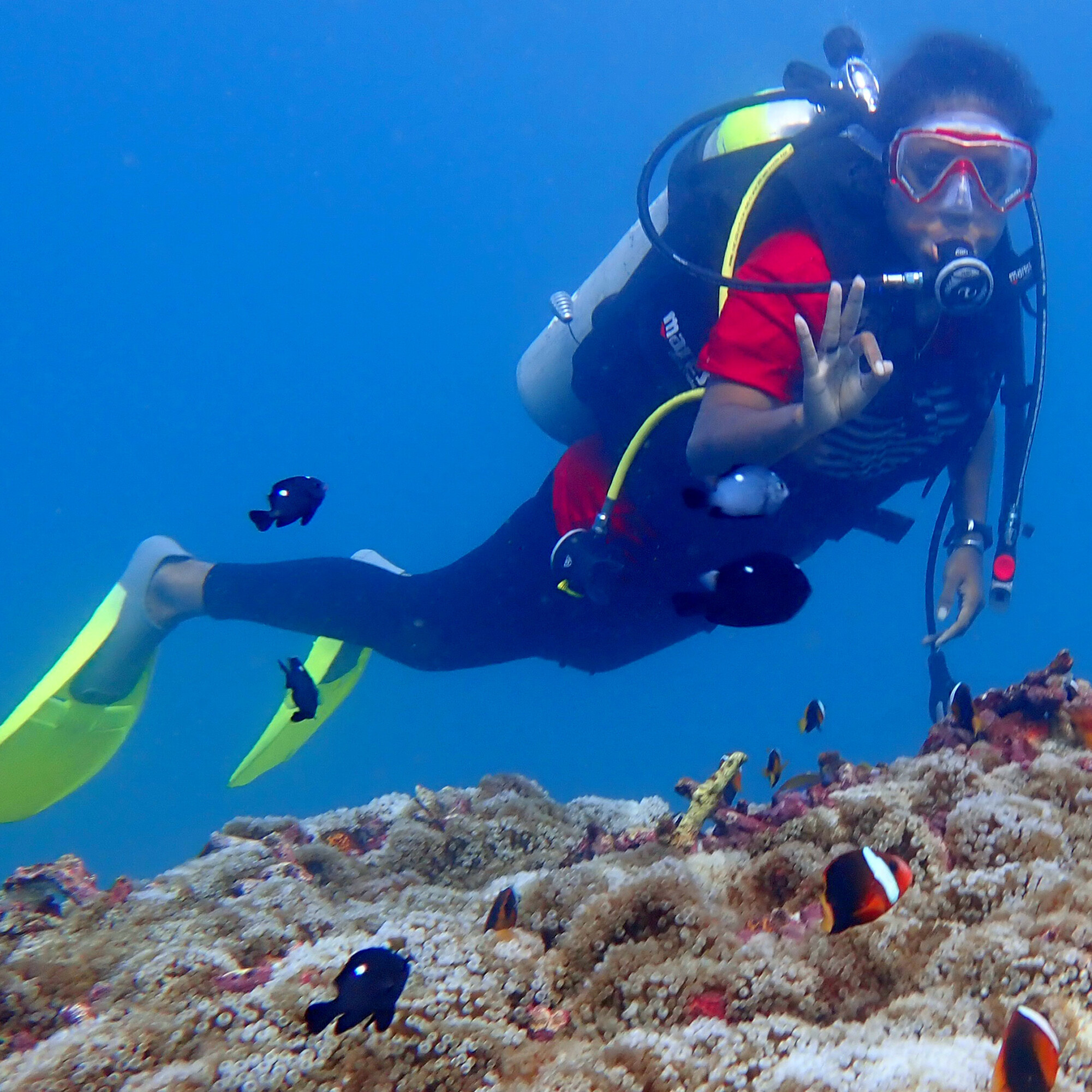 bedreigde koraalriffen van Depapre