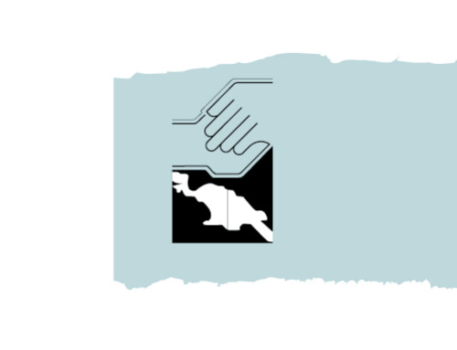 Hapin,  ProPapua en Papua Solidariteit slaan de handen ineen