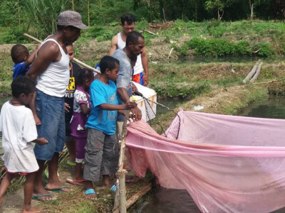 viskwekerij mulai papua