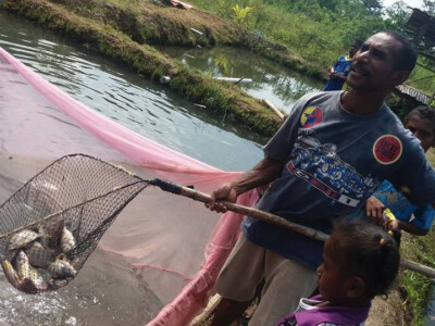 viskwekerij mulai papua