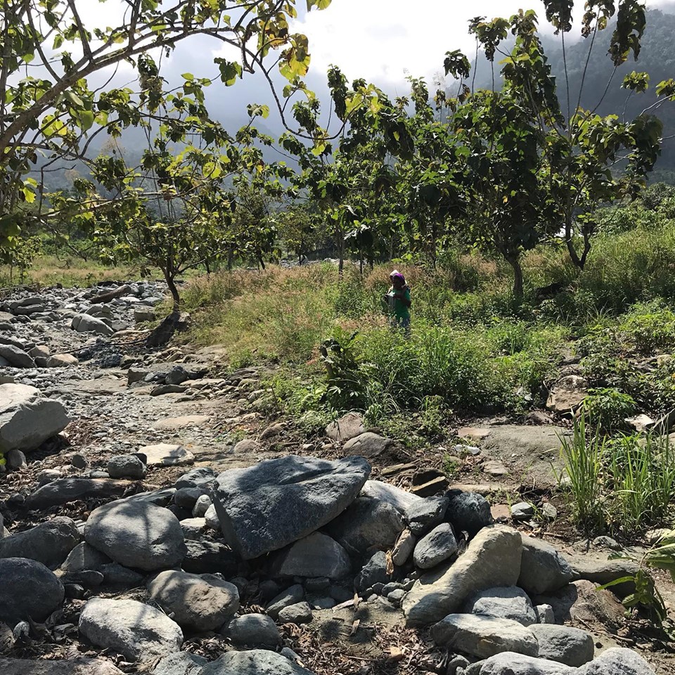 Where the lady is standing is where her house used to be.
